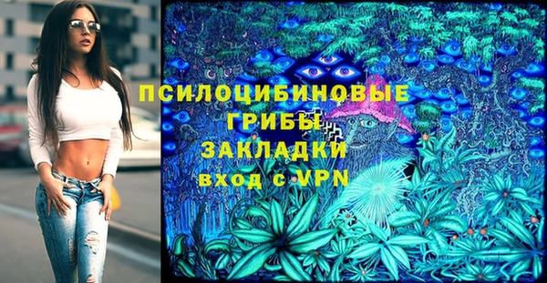 гашик Лагань
