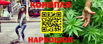 прущие грибы Гай