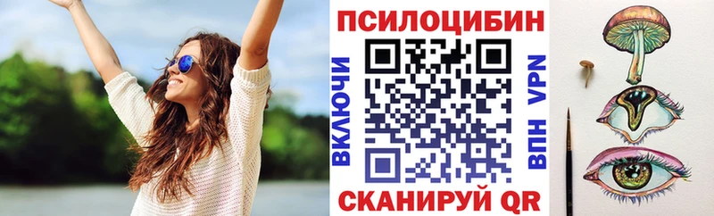 купить  сайты  Михайловка  omg вход  Галлюциногенные грибы Cubensis 