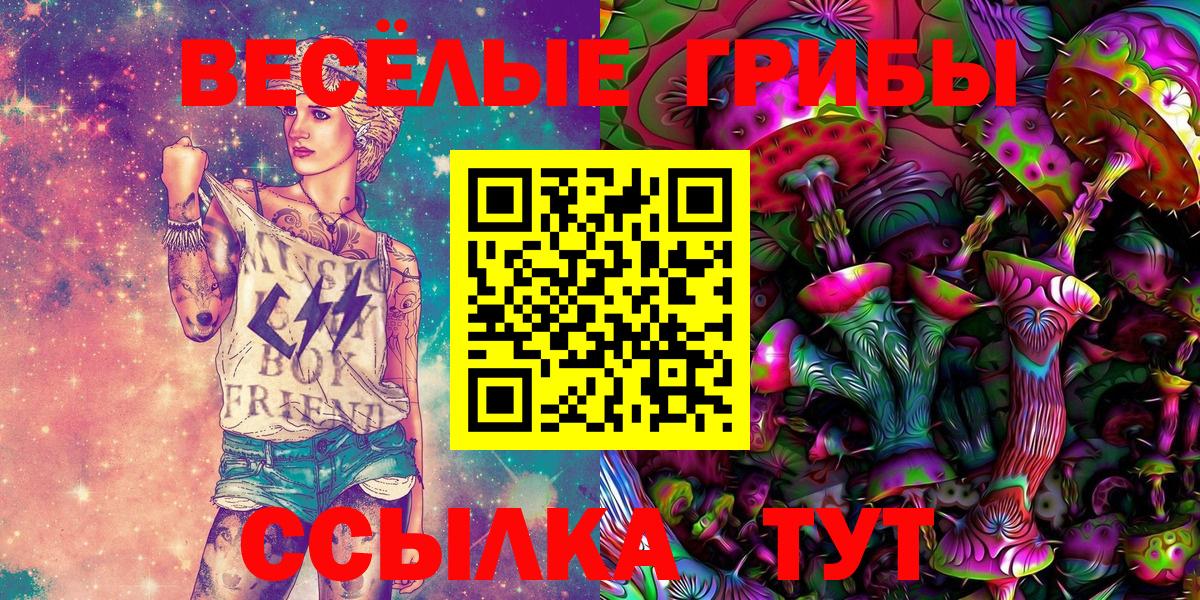 Псилоцибиновые грибы Psilocybe  Вход с VPN  Михайловка  Псилоцибиновые грибы Psilocybine cubensis 