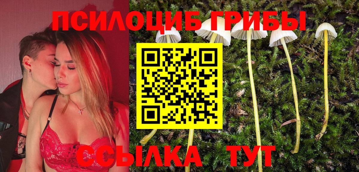 Галлюциногенные грибы мицелий  Михайловка 