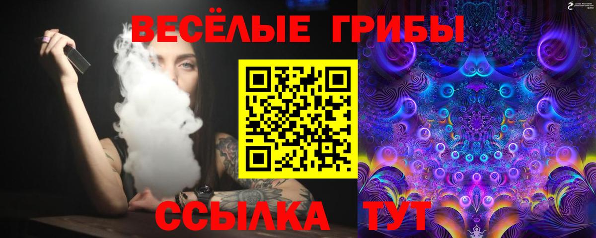 Галлюциногенные грибы MAGIC MUSHROOMS Михайловка